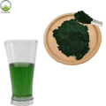 Chlorophylle de qualité supérieure poudre de chlorophylle liquide